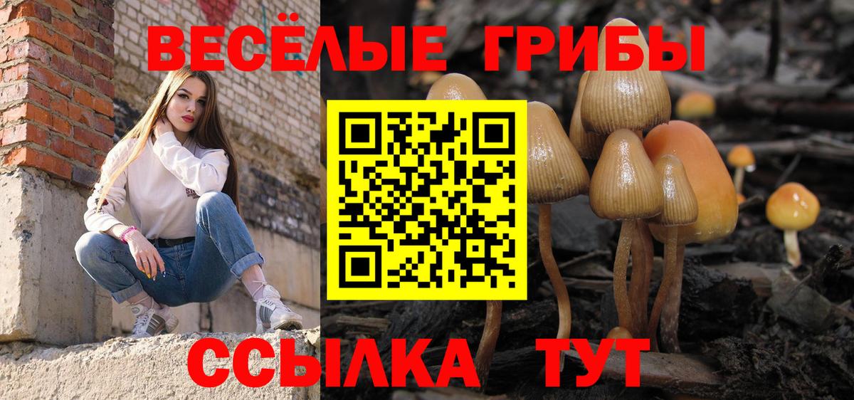 Можайск  Псилоцибиновые грибы мухоморы  Псилоцибиновые грибы мицелий  Вход с VPN 